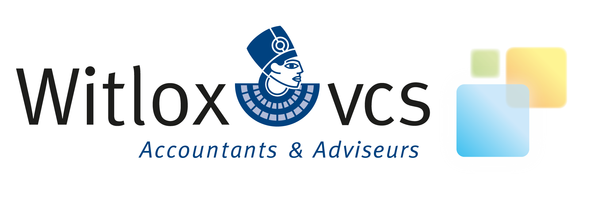 Witlox VCS logo